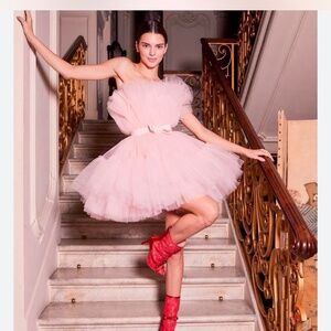 Giambattista Valli X H&M pink Peach tulle dress Us Size 10/ EU 40